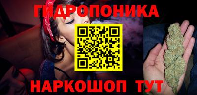 PSILOCYBIN Беслан