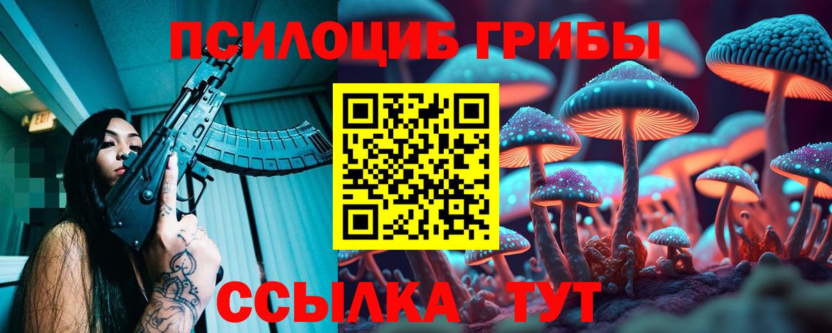 Галлюциногенные грибы мухоморы Гусиноозёрск