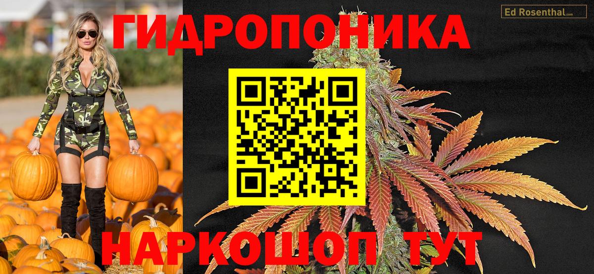 Канабис марихуана Гусиноозёрск